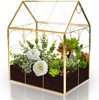 Maison jardin bureau décoration Air Planter Pot en verre Succulent maison en forme or noir verre géométrique plante Terrarium