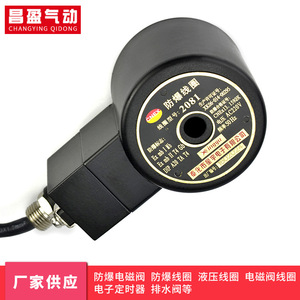 Bobina Solenoide Antiexplosión Changying Qidong 2081 AC220V DC24V para Válvulas Neumáticas - Product Image 3