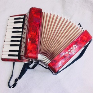 Accordéon de style <span class=keywords><strong>clavier</strong></span> pour étudiants, niveau débutant, 22 touches, <span class=keywords><strong>8</strong></span> basses, vente en gros - Product Image 3