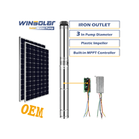 Système de pompe à eau solaire submersible DC WINSOLAR avec contrôleur MPPT intégré, impeller en plastique de 3 pouces, sortie d'eau en fer