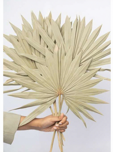 Hojas de Palma Secas Naturales, Blanqueadas y Coloridas, Tamaño Mediano, para Decoración de Pasteles, Bodas y Habitaciones - Product Image 2