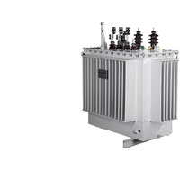 CNKEEYA S11 11kv 33kv 200kva 250kva 300kva 315kva 10kv 11kv Transformador de energía eléctrica de aceite trifásico Transformador montado en poste
