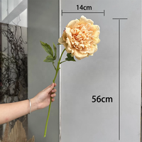 Bunga Peony Champagne Buatan Berkualitas Tinggi, Tangkai Tunggal, Sentuhan Realistis, Kepala Besar Diameter 14cm, Bahan Sutra Lateks, untuk Dekorasi Pernikahan