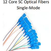 Precio de Fábrica, Cable de Fibra Óptica SC UPC Personalizado de 12 Hilos, Monomodo 9/125, 1 Metro, para Sistemas de Comunicación en Redes