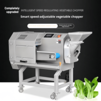 Elektrische motor aangedreven groente- en fruitsnijmachine, hete verkoop, commerciële snijmachine voor Chinese kool, sla, komkommer, spinazie