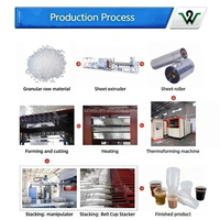 Machine de thermoformage automatique haute performance pour gobelets et bols en PS/PET, haute précision, économe en énergie, écologique, multifonctionnelle