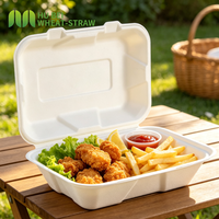 Boîte alimentaire jetable compostable en bagasse de canne à sucre, recyclable, 9x6 pouces, type clamshell, anti-fuite