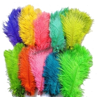 Plumes d'Autruche Naturelles pour Fête, Carnaval, Maison, Centre de Table de Mariage, Vase de Noël, Décoration Artisanale Florale, 20-30cm