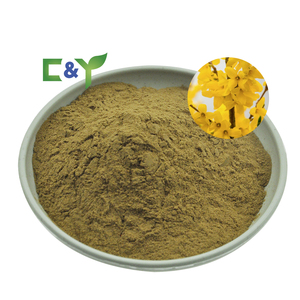 人工レンサイシアフルクトス抽出物植物しだれレンサイシアオイル - Product Image 1