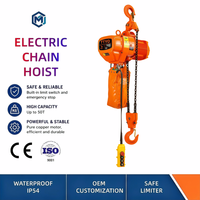 Mini palan électrique à chaîne léger et silencieux CE 500 kg monophasé 220 V pour garage, entrepôt, atelier