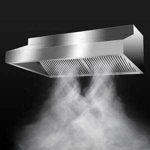 Campana Extractora Industrial para Cocina <span class=keywords><strong>de</strong></span> Restaurante, Sistema <span class=keywords><strong>de</strong></span> Ventilación <span class=keywords><strong>de</strong></span> Acero Inoxidable <span class=keywords><strong>de</strong></span> Alta Resistencia para Campana Extractora <span class=keywords><strong>de</strong></span> Cocina <span class=keywords><strong>de</strong></span> Hotel - Product Image 6