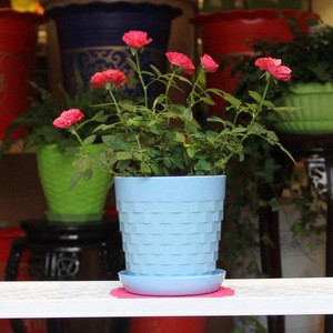 Creative Simple Round Green Plant <strong>Pot</strong>, Multicolor Plastic PP Flower Planter, Minimalist Desktop Decor <strong>Smart</strong> Home Products - Product Image 3