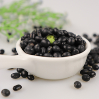 Nouvelle récolte de haricots noirs secs d'origine chinoise avec noyau vert, soja noir pour l'exportation