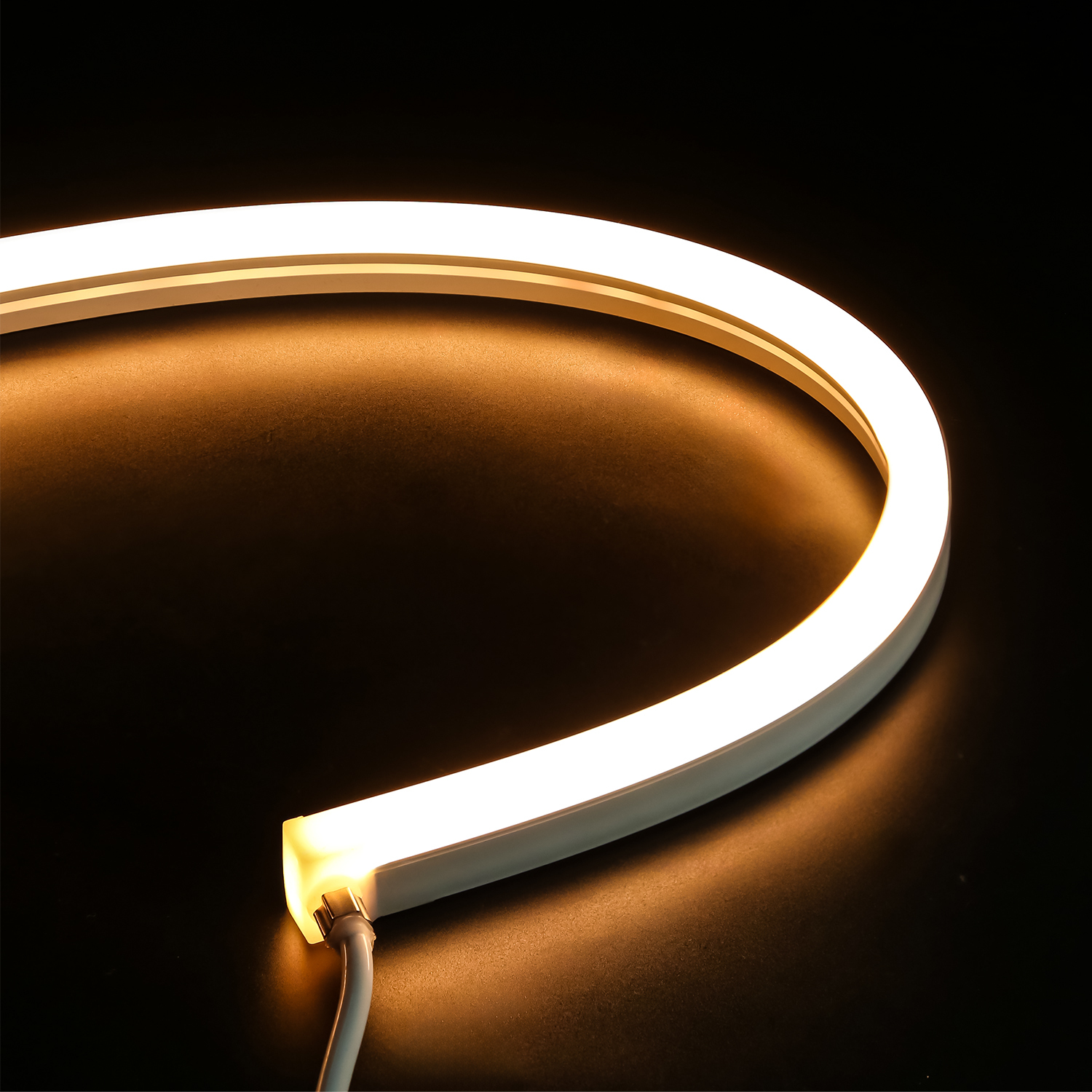 Led Neon Flex 12v 24v Strip Light IP67 Waterproof Swimming Pool Light