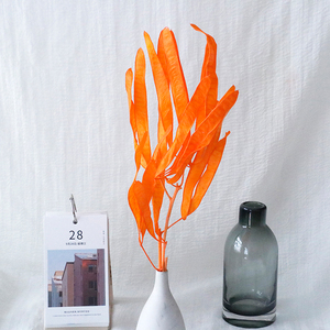 ดอกไม้<span class=keywords><strong>ลาบ</strong></span><span class=keywords><strong>ลาบ</strong></span>์อบแห้งแบบถาวร ทำมือ DIY ตกแต่งห้องรับปริญญา ใช้งานได้นาน 3-5 ปี จากโรงงานยูนนานโดยตรง - Product Image 4