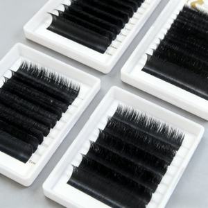 Bandeja de Extensiones de Pestañas de Marca Privada 0.03 0.05 0.07mm, Bandejas de Pestañas Fáciles de Injertar para Volumen, Suministros para Extensiones de Pestañas - Product Image 4