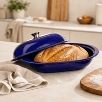 Plat à rôtir ovale en émail bleu de 14,6 pouces avec couvercle pour pain, dinde, poulet, poisson – Préparation de desserts – Vente directe usine