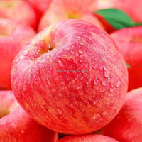 Verse, sappige rode Fuji appels, graad 1, 6cm, 20kg verpakking, rechtstreeks van de leverancier uit Shandong, China (Jufu)