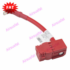 Per <span class=keywords><strong>BMW</strong></span> serie 5 G38 61126821904 <span class=keywords><strong>batteria</strong></span> cavo <span class=keywords><strong>batteria</strong></span> piombo polo positivo del veicolo accessori - Product Image 3