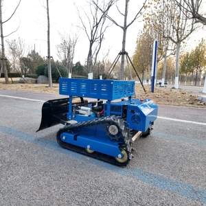 Cortadora de Césped Robusta de 550 mm con Certificación CE y Estante de Almacenamiento para Viveros Comerciales, Jardines Botánicos y Arbóreteros Públicos - Product Image 2