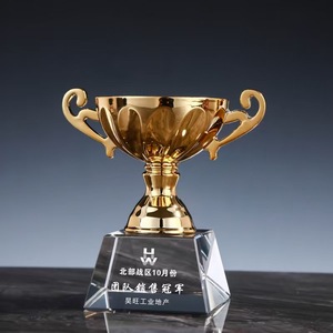 Trofei Personalizzati in Cristallo e Metallo Ecologici con Logo Stampato UV per Medaglie Sportive Mondiali e Campioni dei Bambini - Product Image 5