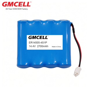 Batterie personnalisée LiSOCl2 4S1P ER14250/ER14505/ER17505/ER18505/ER17335/ER26500/ER34615 14,4V pour compteur intelligent NB-IOT GPS - Product Image 1