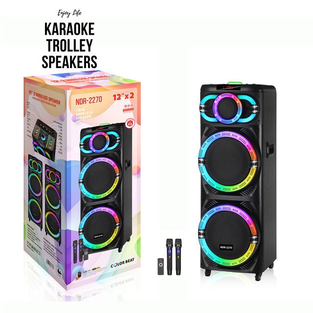 Professional Double 12 Inch Stereo Woofer Karaoke Speaker With Mic HIFI Bass Wooden Wireless Blue-tooth Trolley Party Speakers