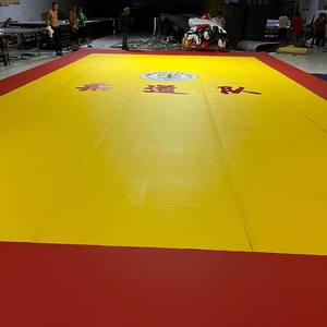 Tapis de lutte d'entraînement de compétition professionnelle 10m Jiu-Jitsu Fitness tapis de Judo EVA et PVC matériel pour l'exercice de karaté - Product Image 3