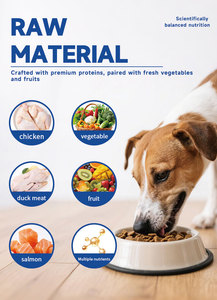 מזון יבש מזון כלבים יבש באריזה מותאם אישית מזון עבור כל הכלבים לדפים - Product Image 4