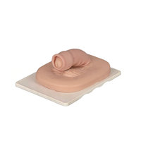 Modèle de formation à la circoncision DARHMMY pour les stagiaires médicaux - Simulation réaliste du prépuce pour la pratique