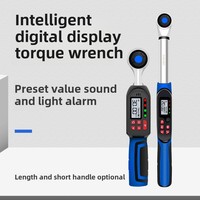 EXPLOIT Clé dynamométrique électronique de haute précision Clé à tête à cliquet polyvalente avec système de mesure métrique LED