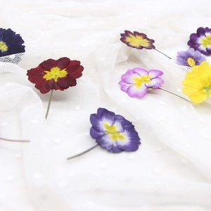 12 pezzi/sacchetto Fiori di <span class=keywords><strong>Primula</strong></span> Pressati - Product Image 4