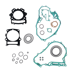 Juego Completo de Juntas de Motor, Sellos de Válvulas, Compatible con YAMAHA <span class=keywords><strong>RAPTOR</strong></span> <span class=keywords><strong>700</strong></span> 2006-2014, Piezas para ATV, UTV y Buggy - Product Image 1