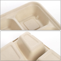 Assiette jetable biodégradable à 5 compartiments sans PFAS en pulpe de bagasse de canne à sucre, 100 % compostable, pour le transport scolaire