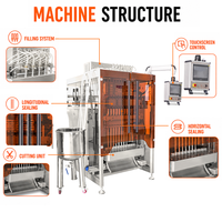 Machine d'emballage automatique de sachets liquides à scellage arrière 10 voies pour solution bucco-dentaire, certifiée CE, à entraînement servo