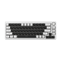 Clavier mécanique de jeu avec rétroéclairage LED RVB, touches transparentes Pudding Doubleshot PBT 60 %, disposition russe, interrupteurs rouges