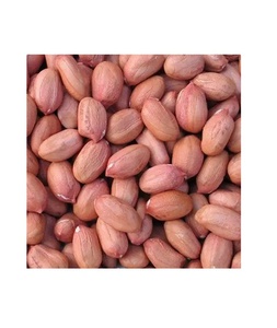 100% Tự Nhiên Hữu Cơ Rang Blanched Đậu phộng Khô Chất Lượng Cao Cấp Ấn Độ Xuất Xứ Mặt Đất Hạt Nguyên Chế Biến Snack Đóng Gói Hộp - Product Image 2