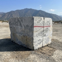Bloc de granit gris de Shandong taillé à la machine TY – Solution globale écologique pour projets modernes avec support technique en ligne pour hôtels et villas