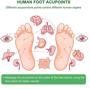 <span class=keywords><strong>Detox</strong></span> Voetkussentjes Private Labels Authentieke Kruidenreinigende Voetpleister Organisch Voor Body Pure - Product Image 6