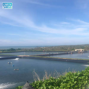 कृत्रिम झील के लिए 0.75 मिमी-1.5 मिमी प्राकृतिक परिदृश्य शैली एंटी-लीकेज hdpe लाइनर जियोम्ब्रन - Product Image 6