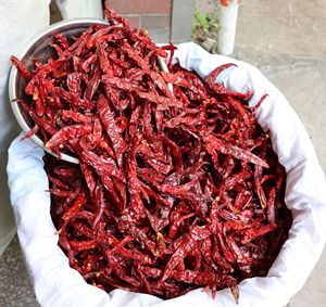 Chile Rojo Largo Seco Natural Sin Azufre, <span class=keywords><strong>Pimiento</strong></span> Picante Entero para Salsas, Encurtidos, Adobos y Fábrica de Snacks - Product Image 3