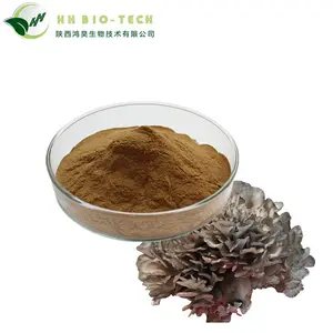 الحلال و موافق للشريعة اليهودية 20% السكريات maitake مسحوق خلاصة عيش الغراب