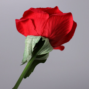 Disegno popolare singolo stelo in lattice <span class=keywords><strong>arcobaleno</strong></span> rose decorazione della casa rosa <span class=keywords><strong>fiori</strong></span> artificiali - Product Image 6