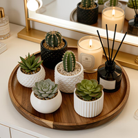 Plateau décoratif pour plantes de style nordique, plateau en bois 22 x 15 x 2 360 °   Plateau rotatif en bois massif, plateau à gâteau en bois