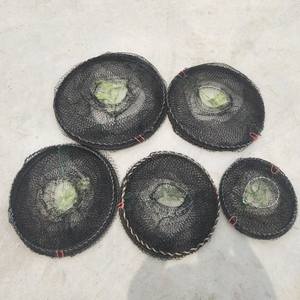 Pièges à écrevisses pliables Appâts vivants Anguille Crevette Crevette Poisson Crabe Filet Pot Homard Loche Torpille Écrevisse Piège Cage en maille - Product Image 5