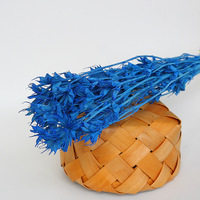 Fleur d'anise des étoiles séchées, 1 pièce, plante naturelle durable, octogonale, préservée pour décoration de la maison