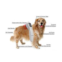 Laser froid de soulagement de la douleur de cheval pour chien chat vétérinaire pour utilisation équine