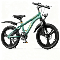 Bisiklet 20 "BMX bisiklet/üretim iyi fiyat ücretsiz tarzı bisiklet 20 inç sokak BMX bisiklet ile disk fren