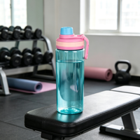 Bouteille d'eau portable en plastique avec logo personnalisé, bouchon à bec verseur, anti-fuite, avec poignée de transport facile, 500 ml