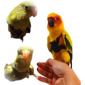 Dây Dẫn Chim Vẹt Da Bò Mới Về Năm 2023, Bán Buôn, Kèm Dây Dắt 6ft, Quần Áo Chim Vẹt - Product Image 1